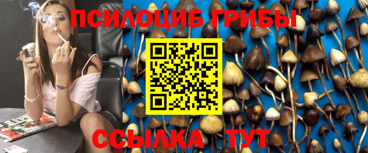Галлюциногенные грибы ЛСД  Вход с VPN  Новозыбков 