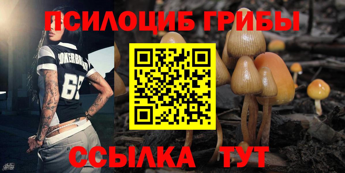 Псилоцибиновые грибы мухоморы Новозыбков