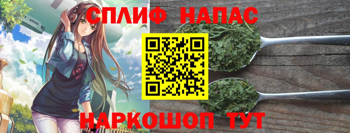 Конопля ГИДРОПОН  Конопля план  Шишки марихуана SATIVA & INDICA  Новозыбков  Вход с VPN 