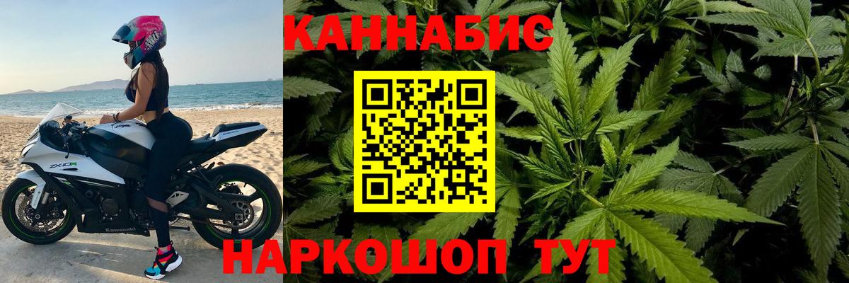 Канабис OG Kush Новозыбков